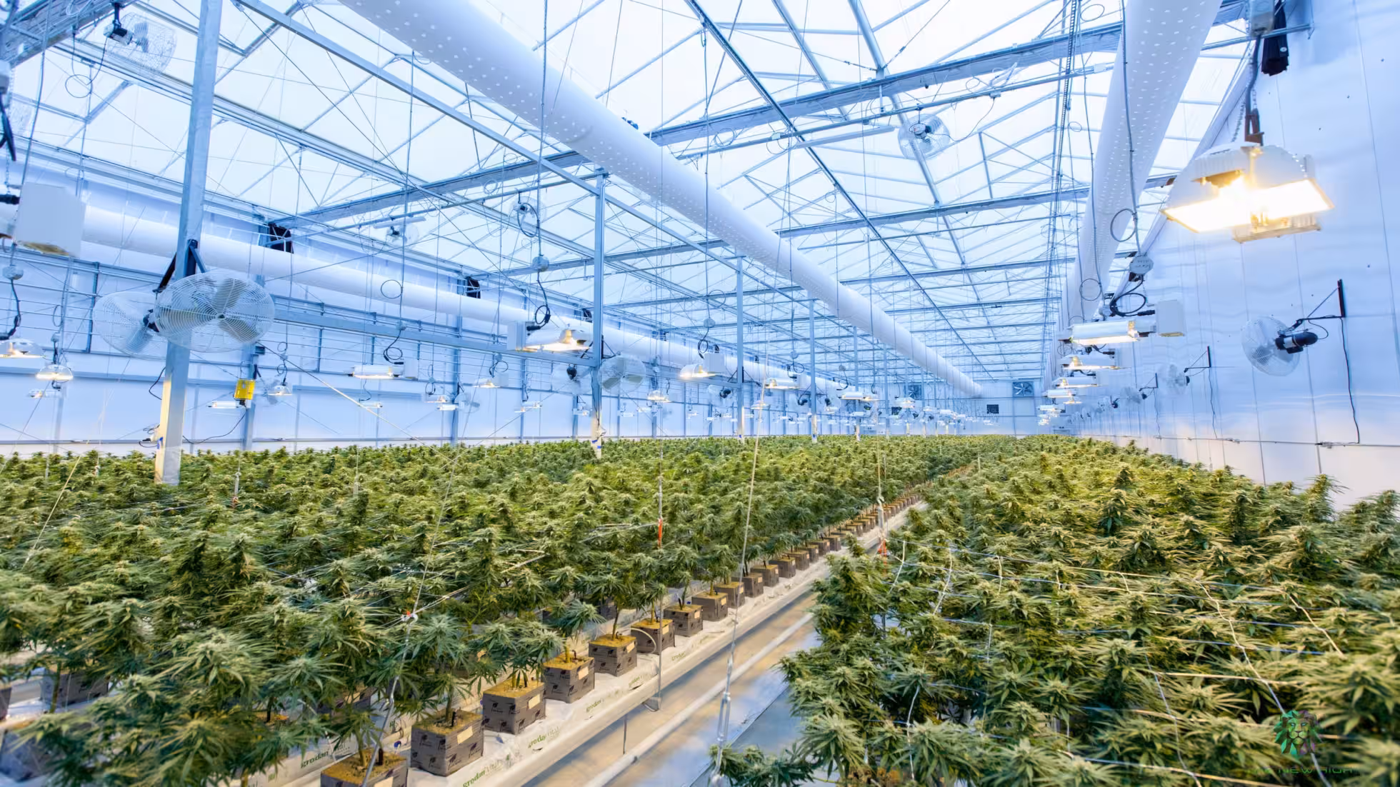 iNote-Development of Facility Agriculture Needs to Consider the Sustainability