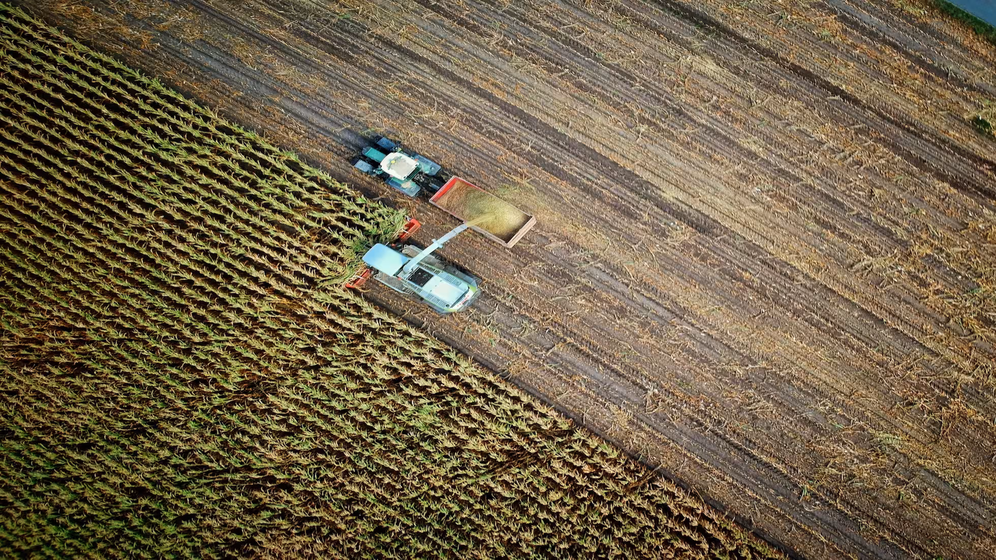 Continuation - Effectively Advancing Rural Revitalization by Learning